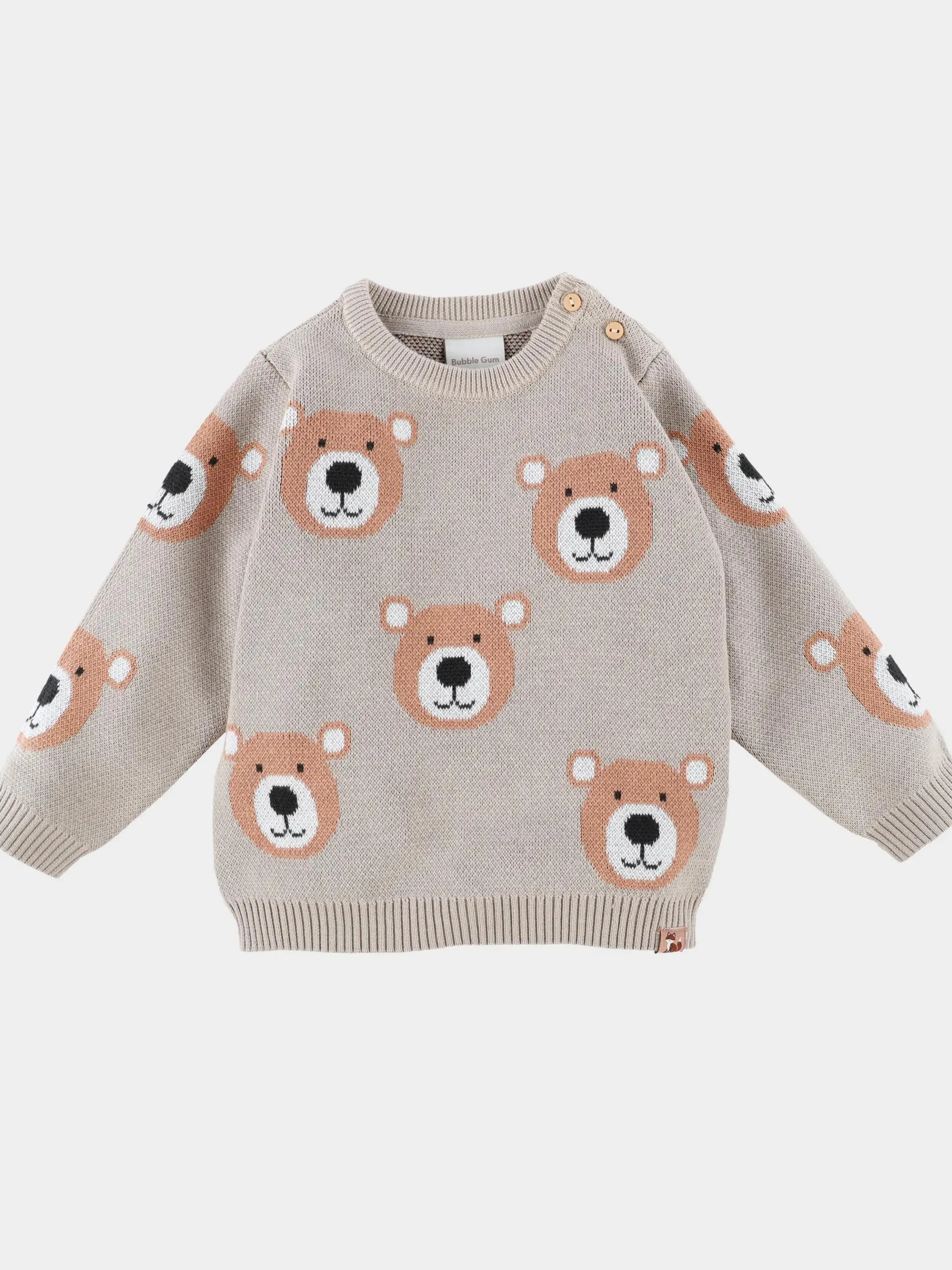 Baby Jungen Pullover mit Teddymotiv