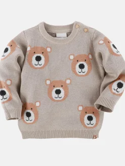 Baby Jungen Pullover mit Teddymotiv