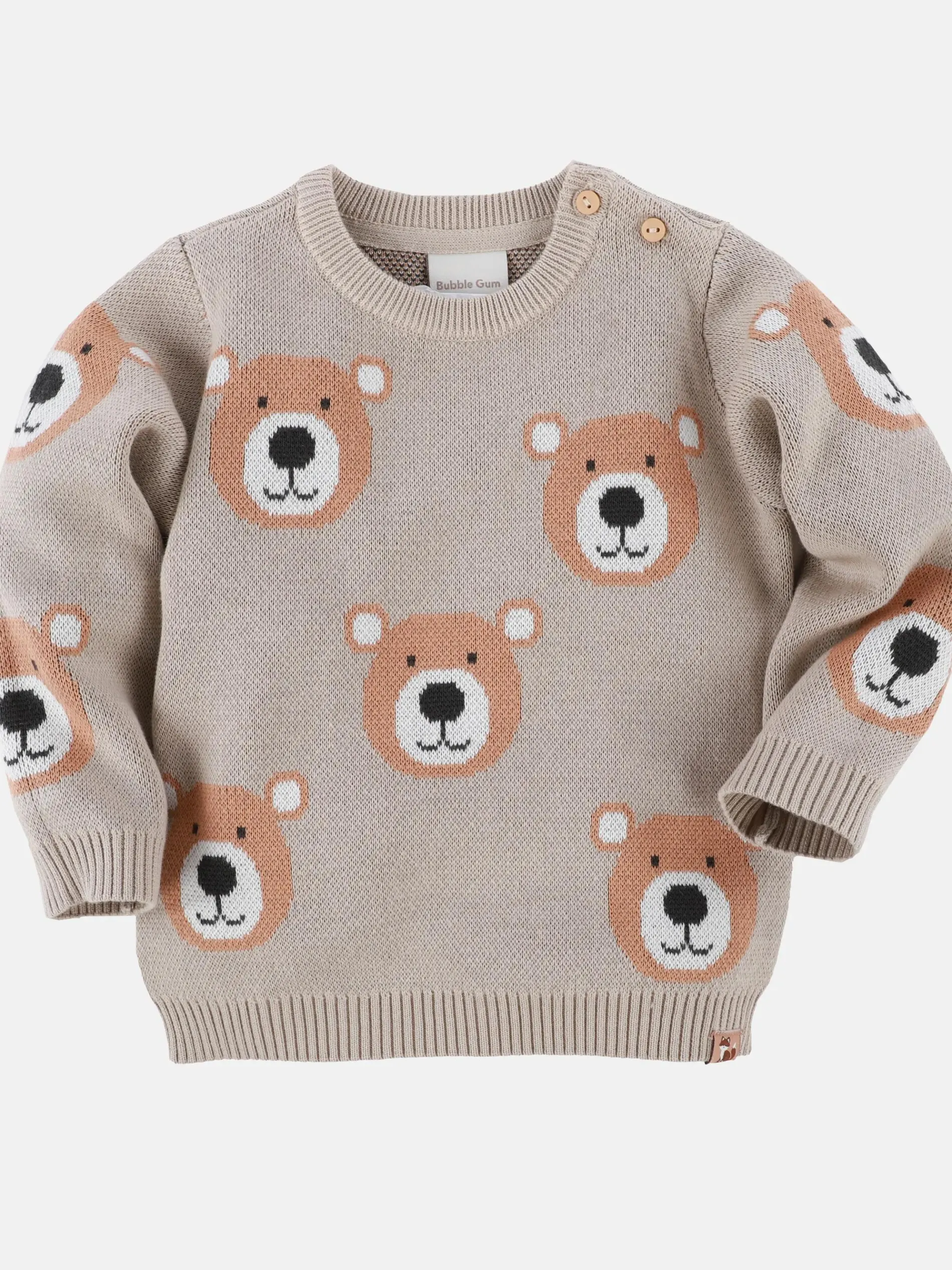 Baby Jungen Pullover mit Teddymotiv