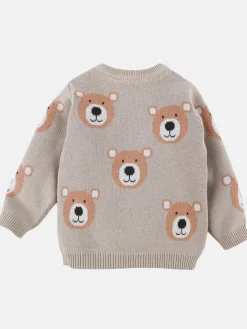 Baby Jungen Pullover mit Teddymotiv