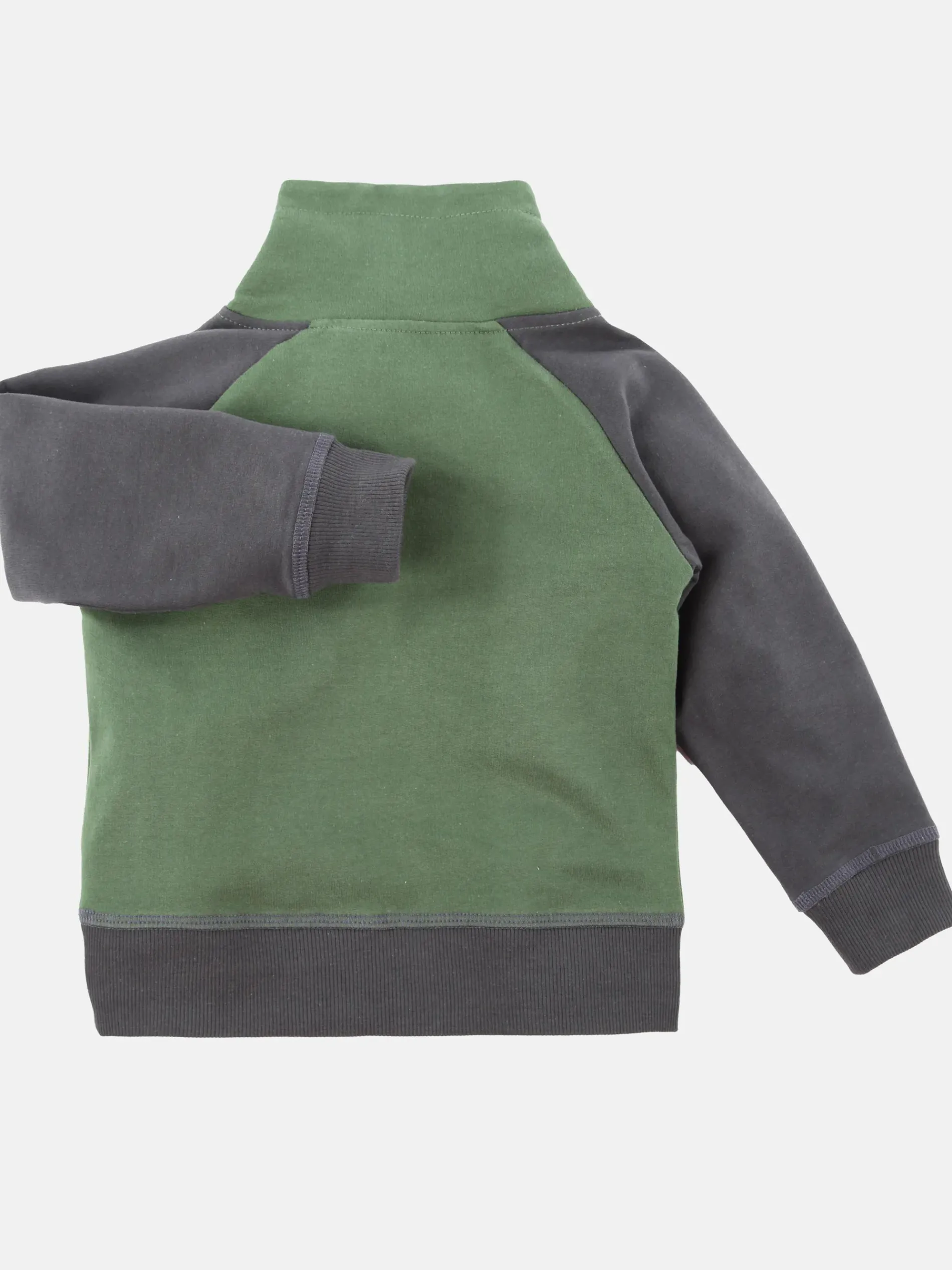 Baby Jungen Sweatshirt