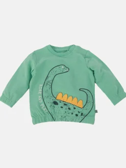 Baby Jungen Sweatshirt mit Dinoprint