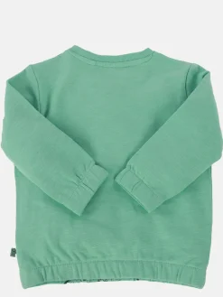 Baby Jungen Sweatshirt mit Dinoprint