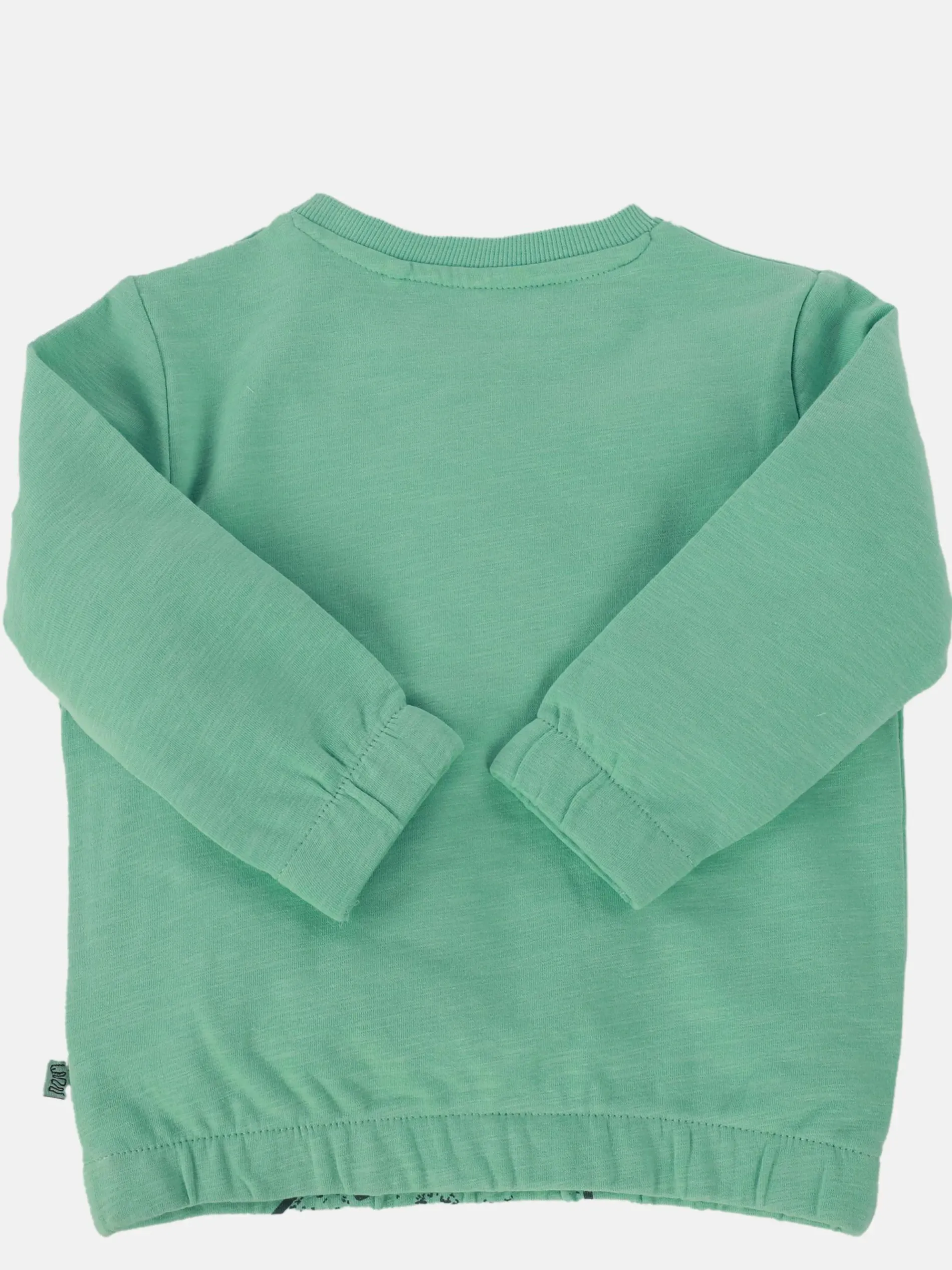 Baby Jungen Sweatshirt mit Dinoprint