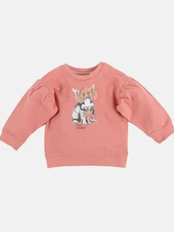Baby Mädchen Sweatshirt mit Hasendruck