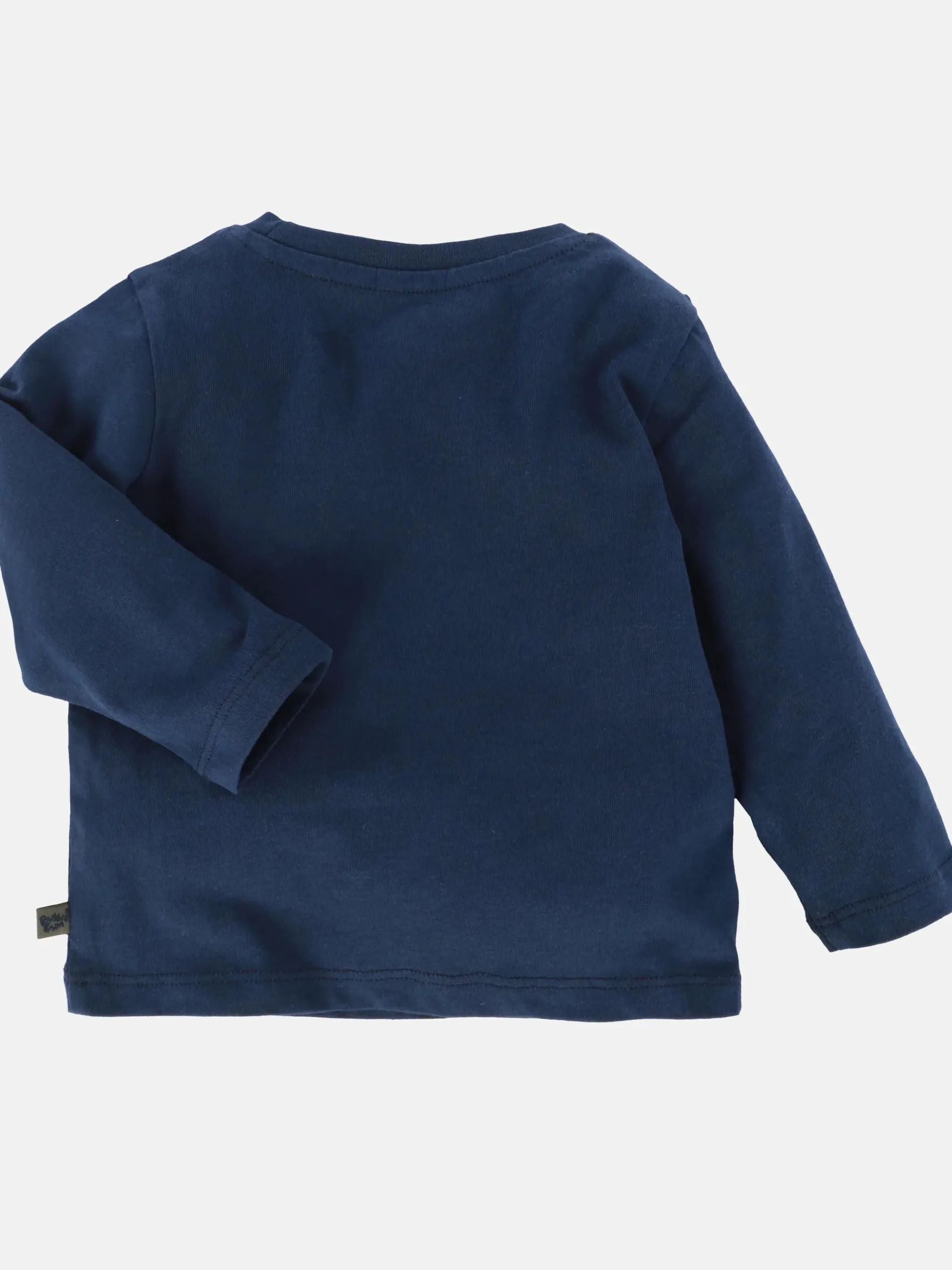 Baby Sweatshirt mit Dino-Flockschriftzug