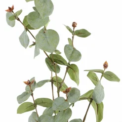 Eukalyptus Dekozweig ca.80-90cm