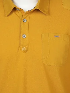 Herren Poloshirt mit langem Arm