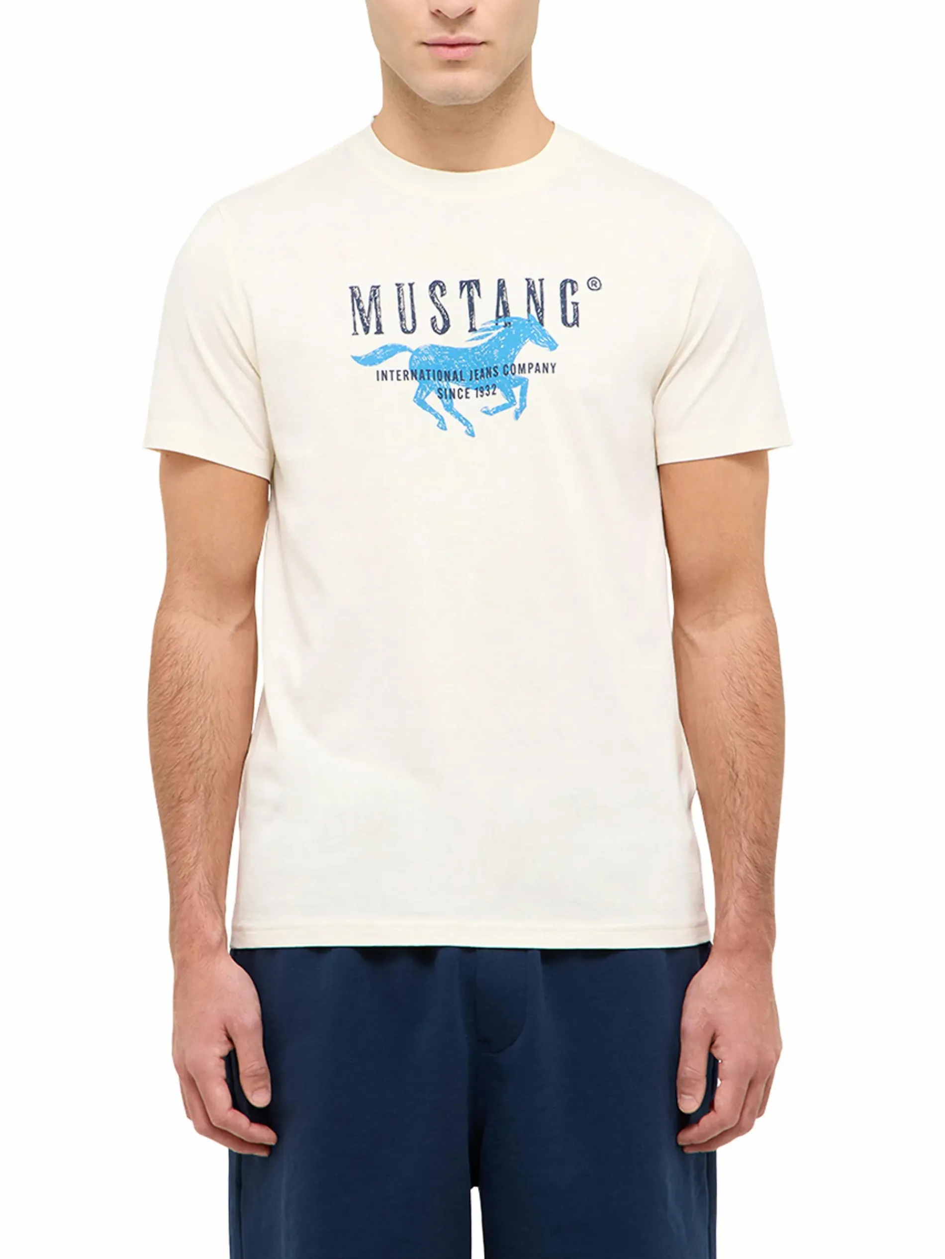 Herren Shirt mit Frontprint