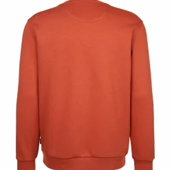 Herren Sweatshirt mit Stickerei