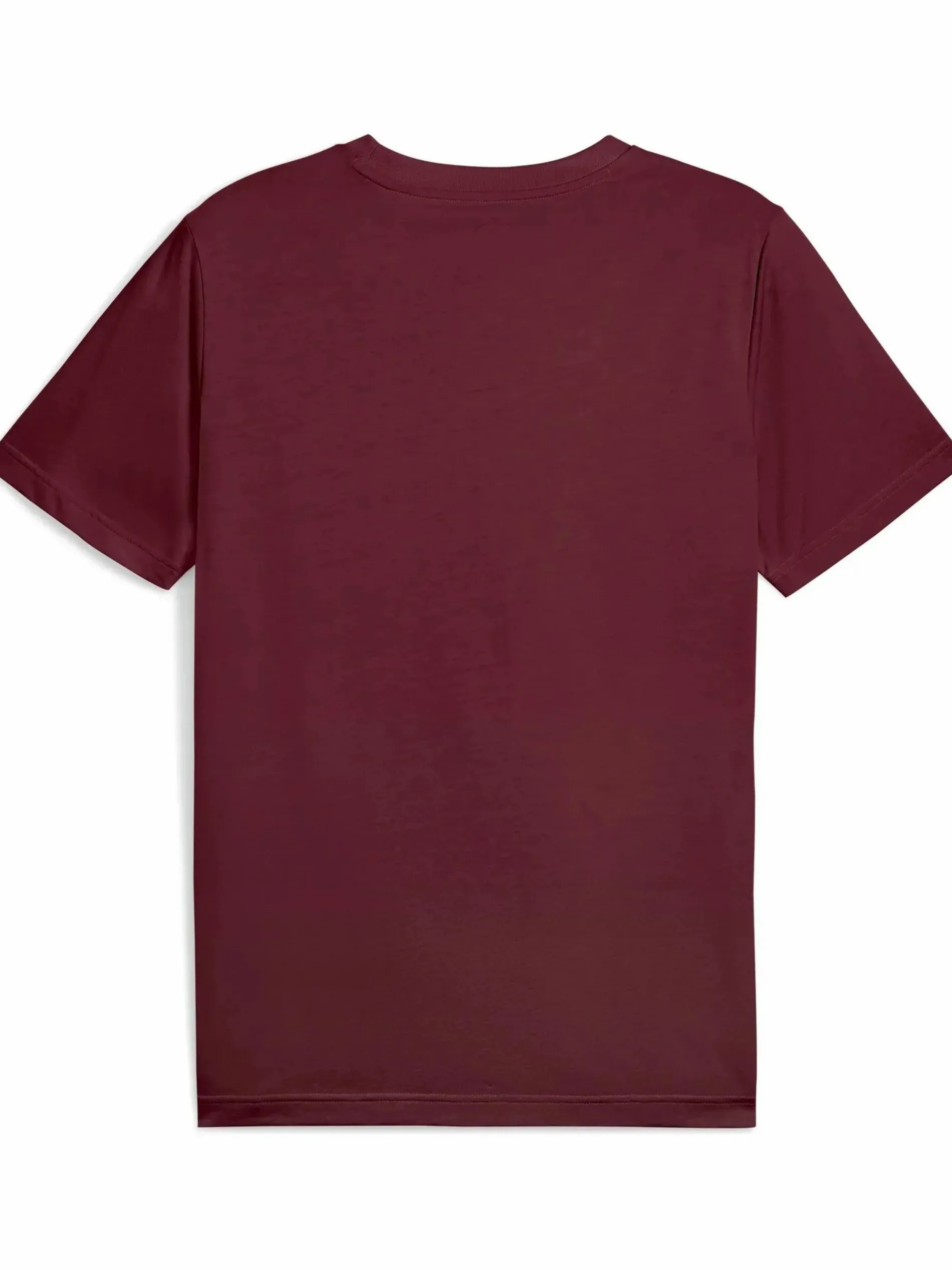 Herren T-Shirt mit Logoprint