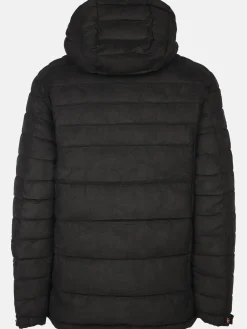 Herren Velour Steppjacke mit Kapuze