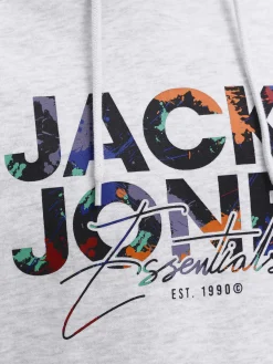 Jack & Jones JJGEPLAS SWEAT Hoodie