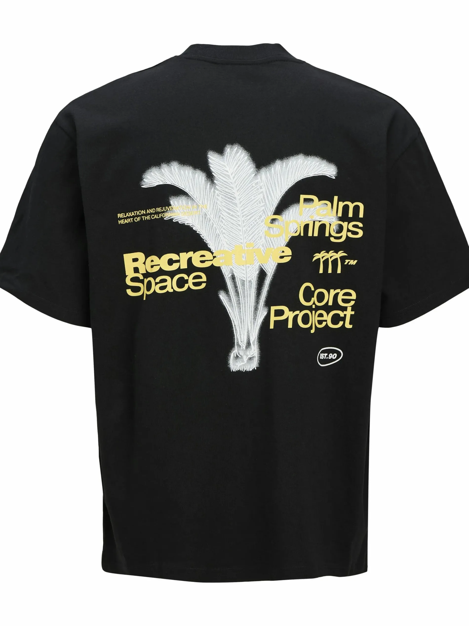 Jack & Jones JCORETREAT TEXT BACK T-Shirt