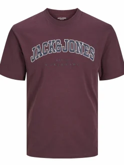 Jack & Jones JJECALEB VARSITY TEE T-Shirt