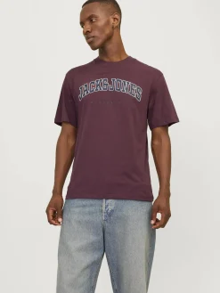 Jack & Jones JJECALEB VARSITY TEE T-Shirt