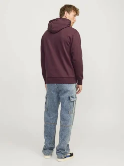 Jack & Jones JJECALEB VARSITY SWEA Hoodie