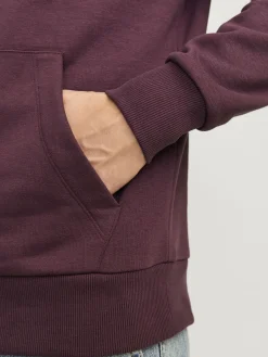 Jack & Jones JJECALEB VARSITY SWEA Hoodie