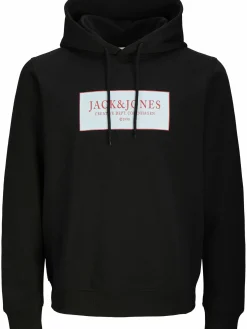 Jack & Jones JORGREENE SWEAT Hoodie