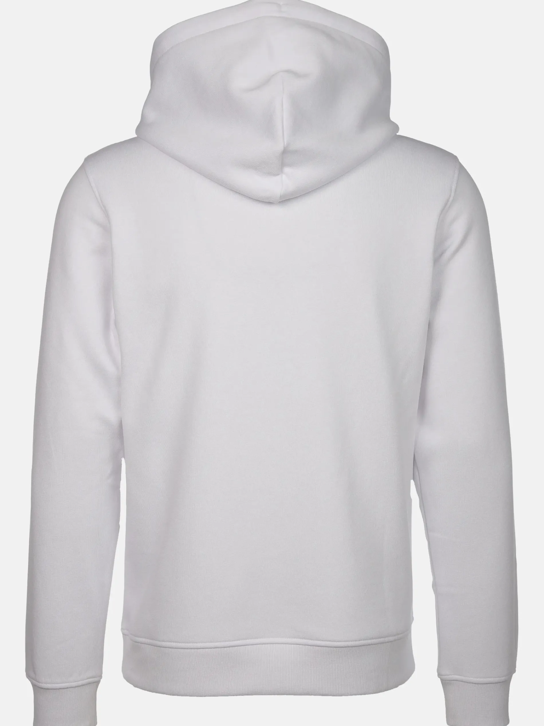 Jack & Jones JORGREENE SWEAT Hoodie