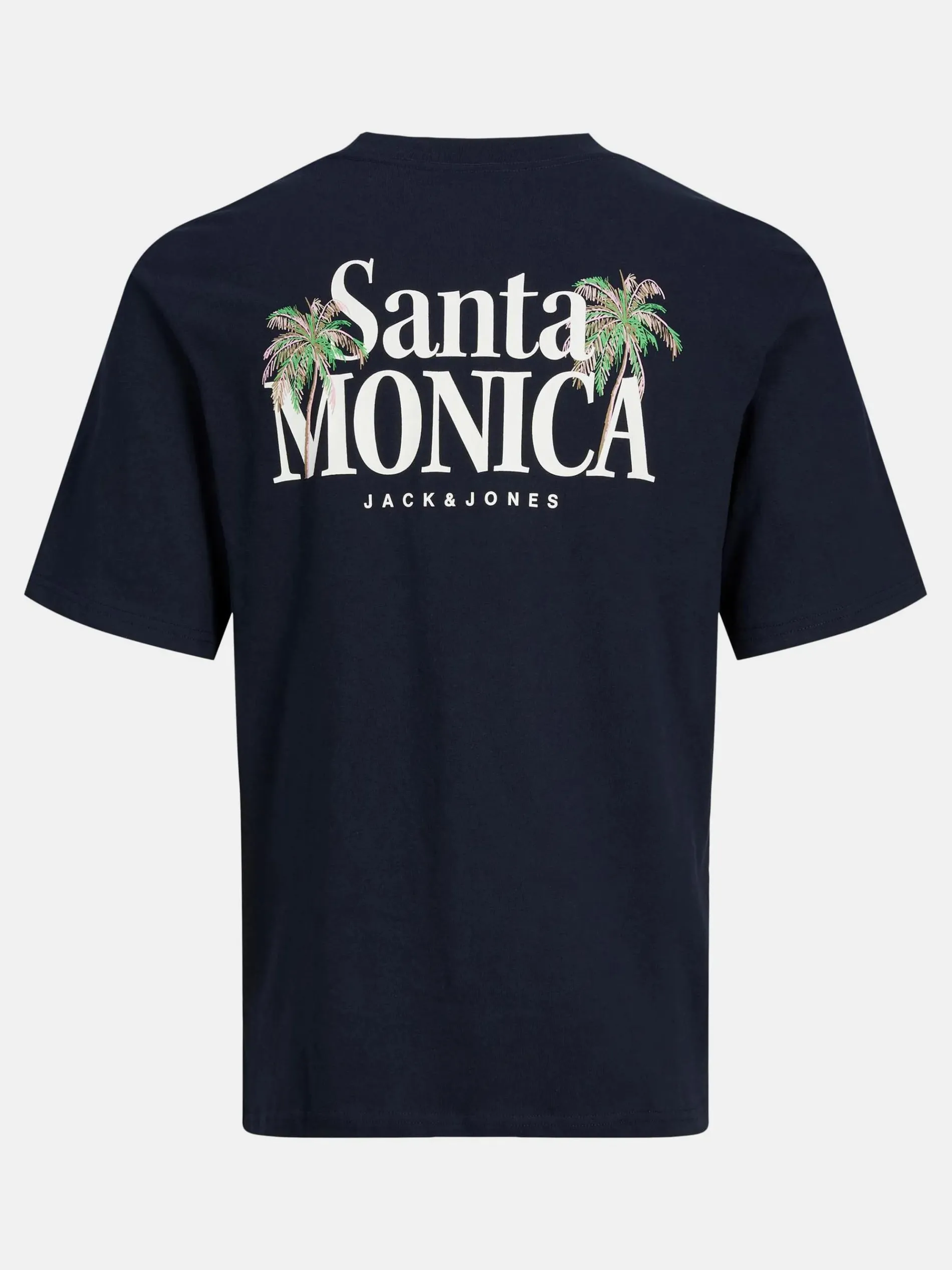 Jack & Jones JORPALMA DRY TEE SS C T-Shirt