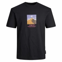 Jack & Jones JORSILVERLAKE GRAPHIC Shirt