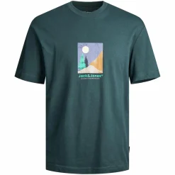 Jack & Jones JORSILVERLAKE GRAPHIC Shirt