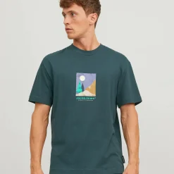Jack & Jones JORSILVERLAKE GRAPHIC Shirt