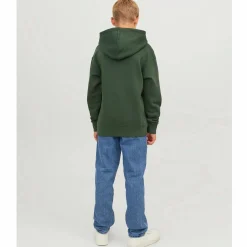 Jacke&Jones Junior JJESTAR JJ SWEAT HOOD Hoodie