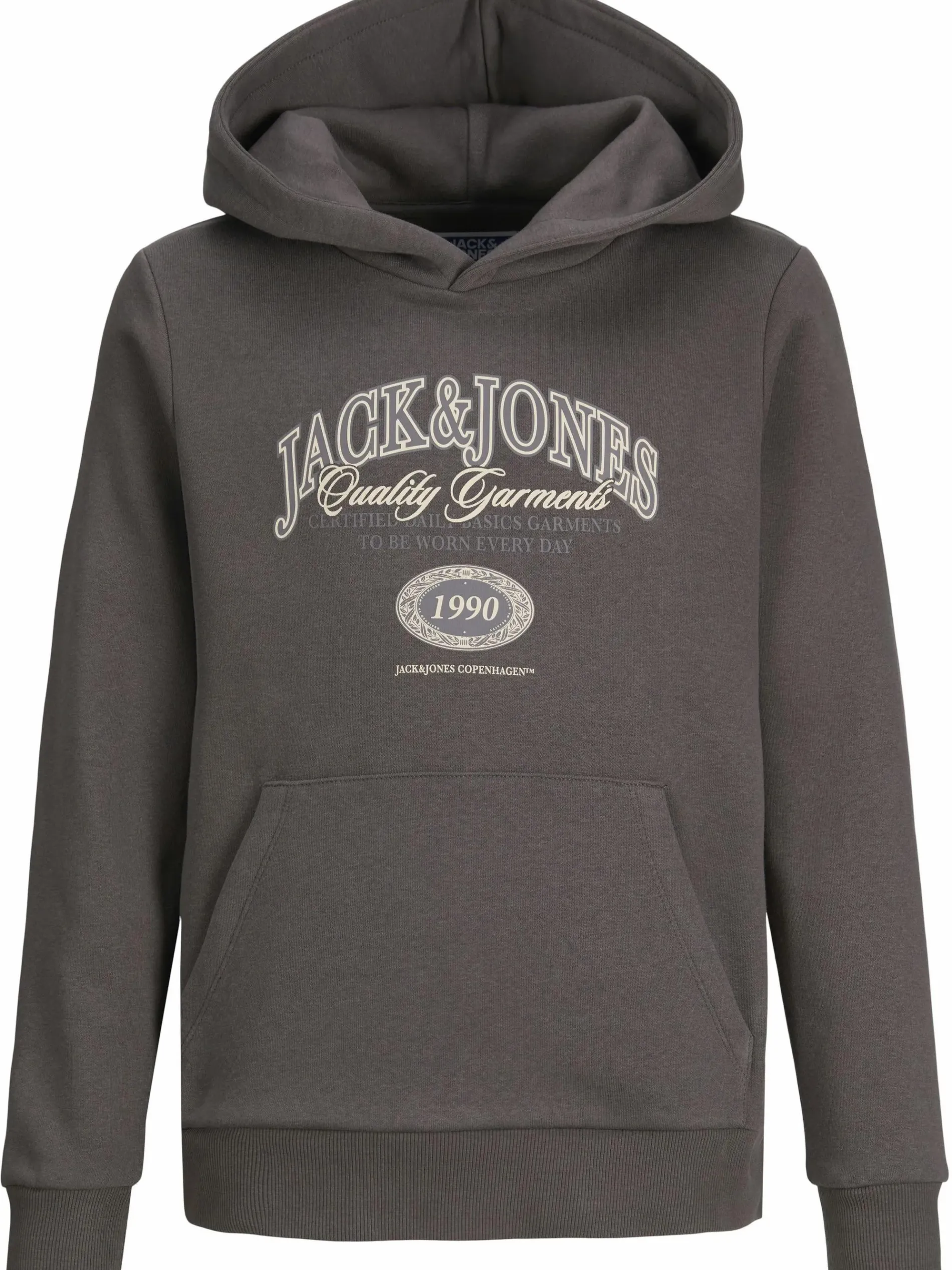 Jack&Jones Junior JJARI BRANDING Hoodie