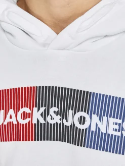 Jack&Jones Junior JJECORP LOGO SWEAT HO Hoodie