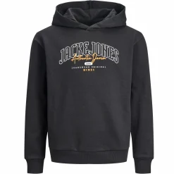 Jack&Jones Junior JJLARRY SWEAT HOOD JN Hoodie