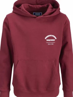 Jack&Jones Junior JORMEADOWS Hoodie