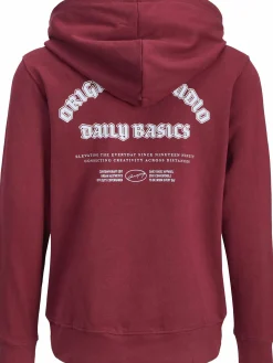 Jack&Jones Junior JORMEADOWS Hoodie