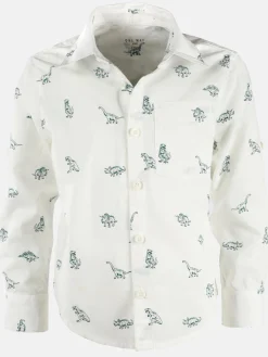 Jungen Hemd mit kleinem Dinoprint