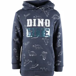Jungen Hoodie mit Paillettenprint und Dinodruck