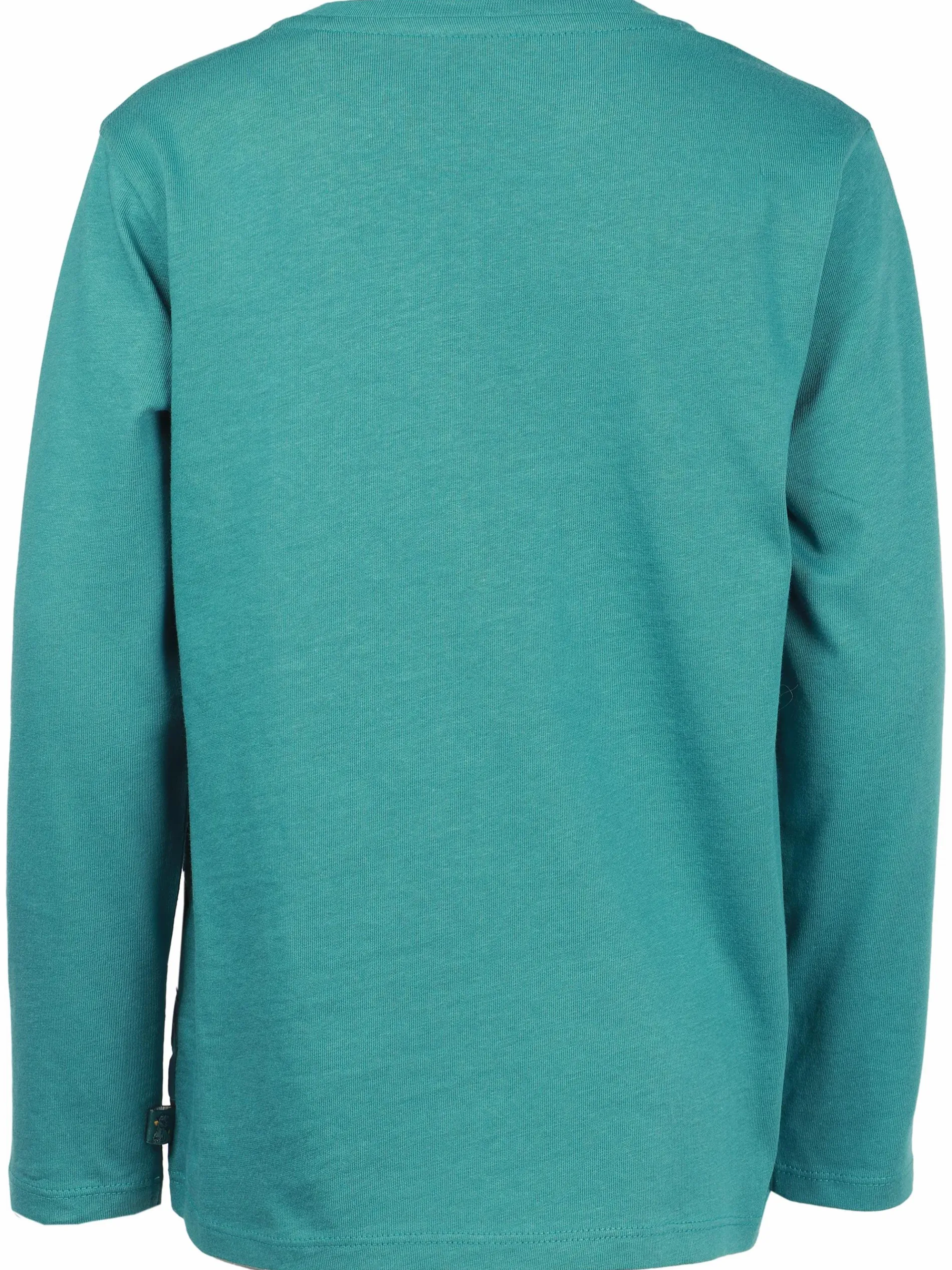 Jungen Langarmshirt mit Dinoprint