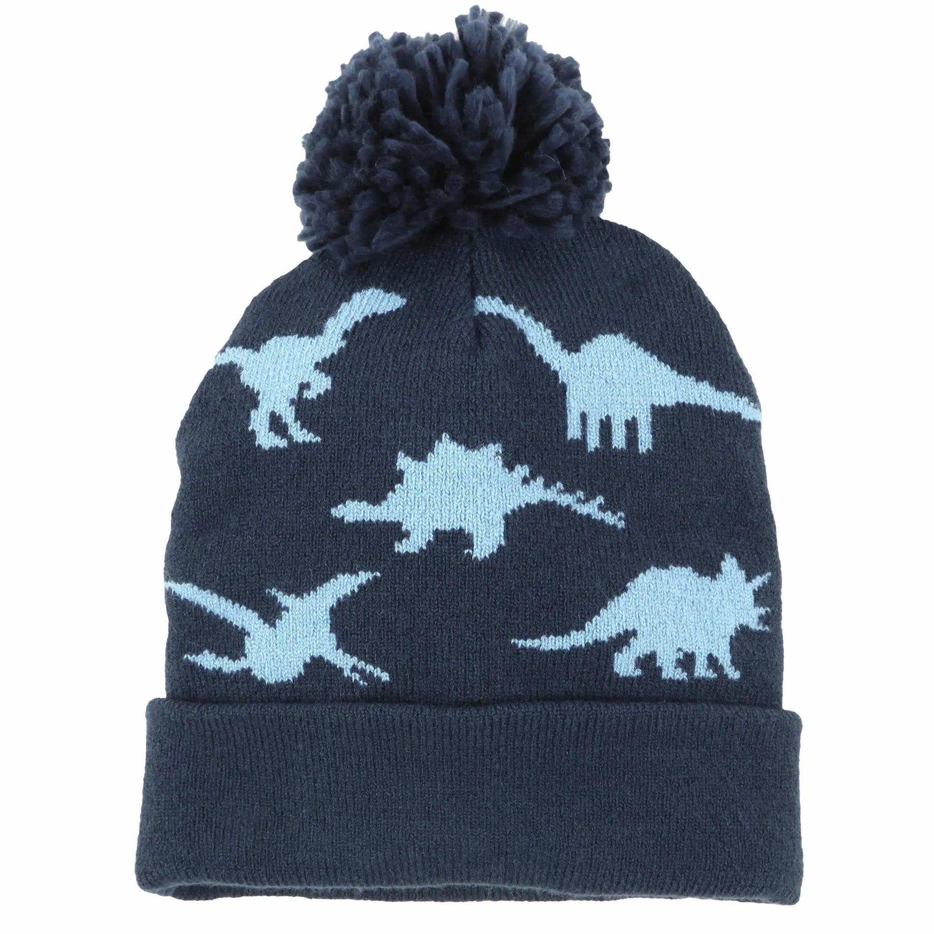 Jungen Mütze mit Dinoprint