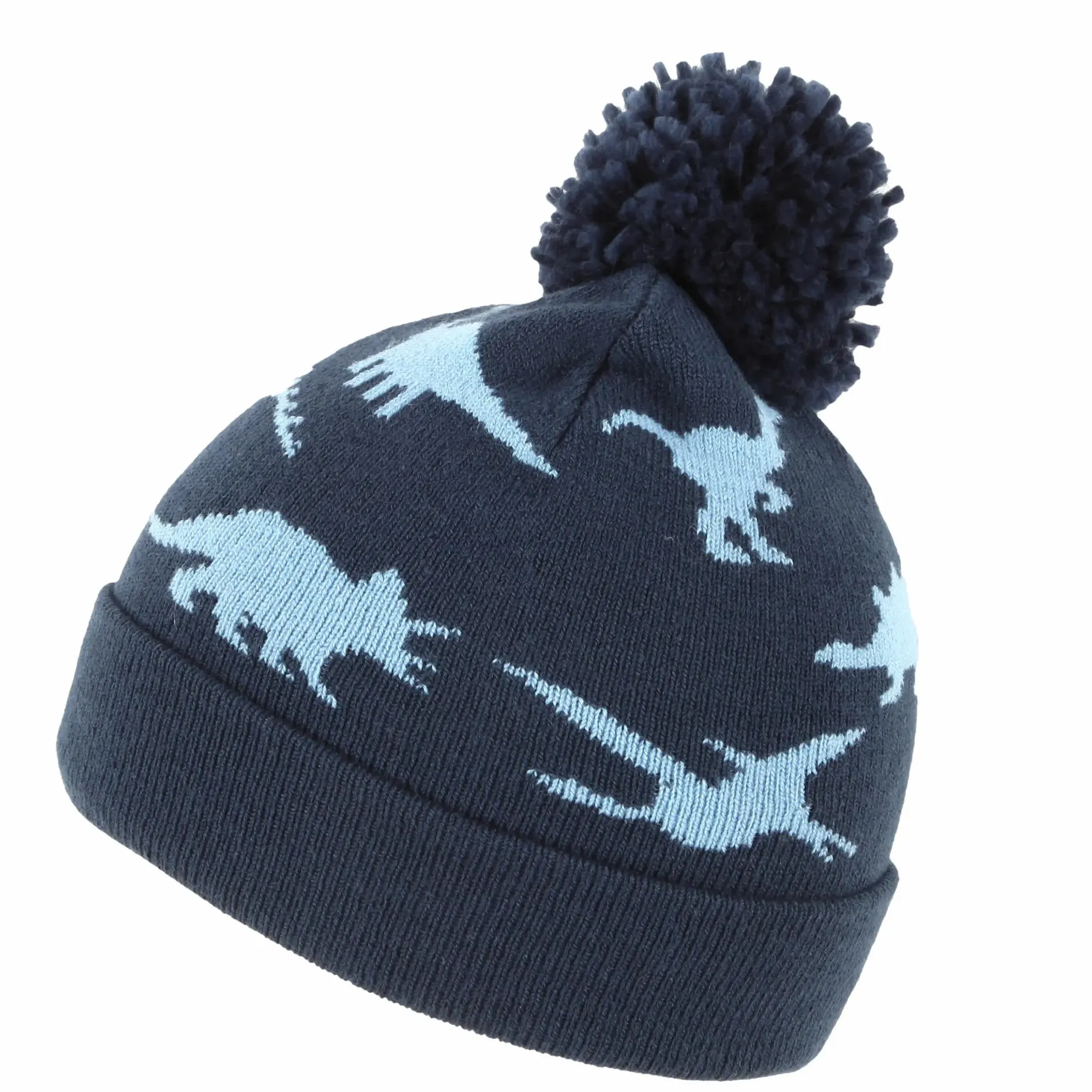 Jungen Mütze mit Dinoprint