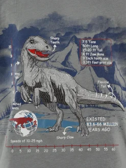 Jungen Shirt mit Frontprint und Stickerei