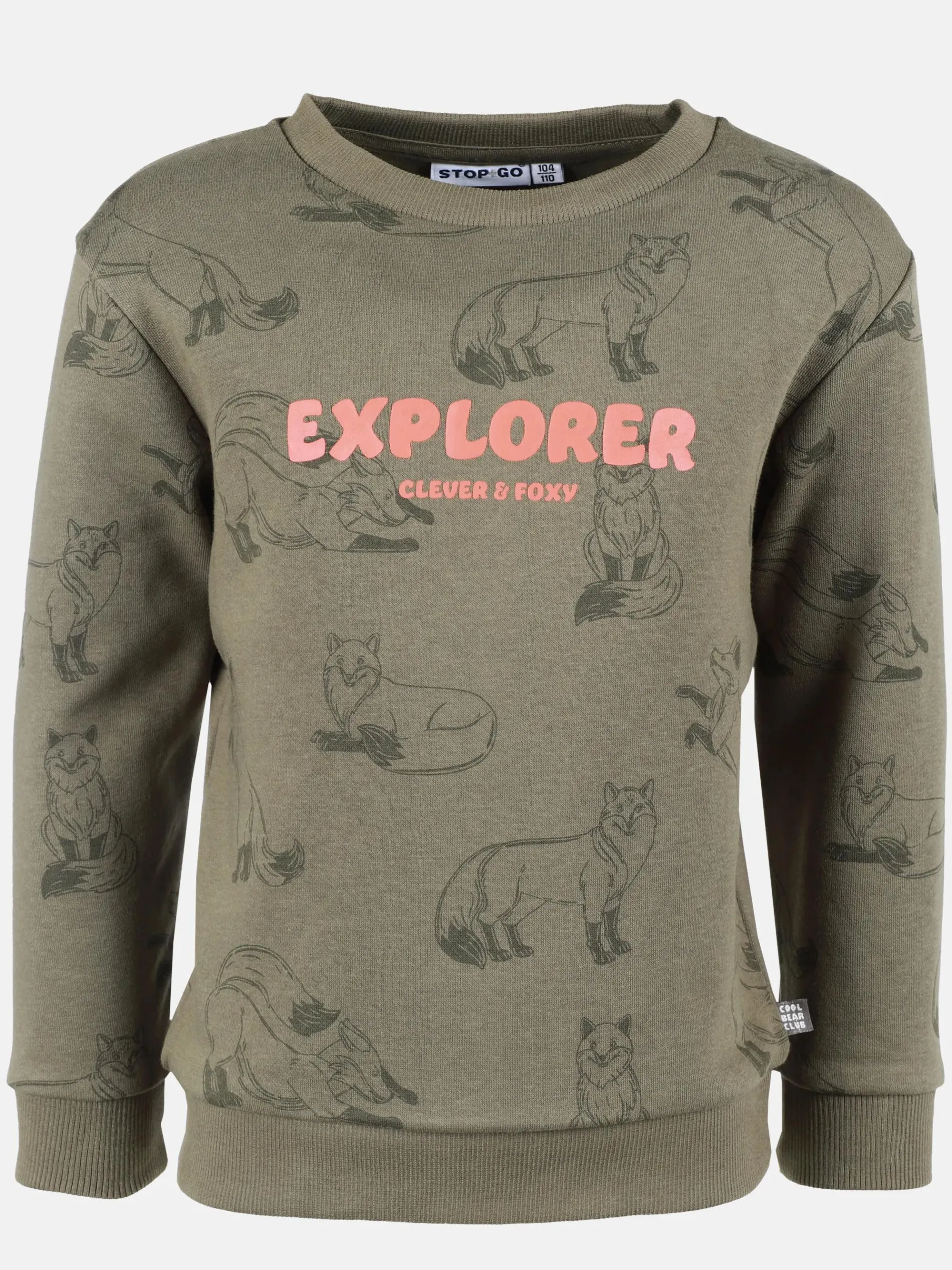 Jungen Sweater mit Fuchsmotiv