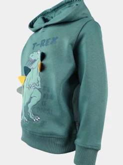 Jungen Sweat-Hoodie mit Dinomotiv