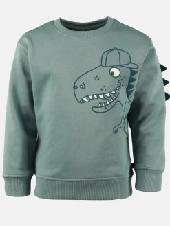 Jungen Sweatshirt mit Dinomotiv
