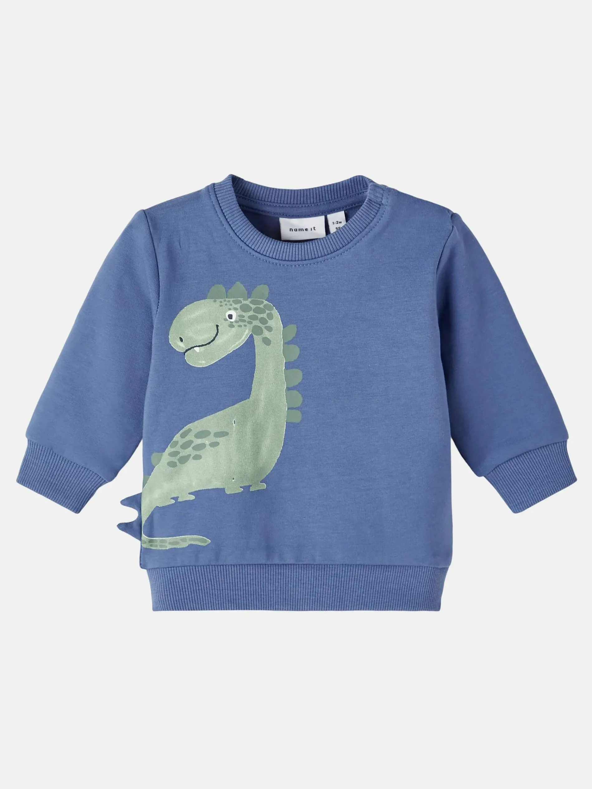 Jungen Sweatshirt mit Dinoprint