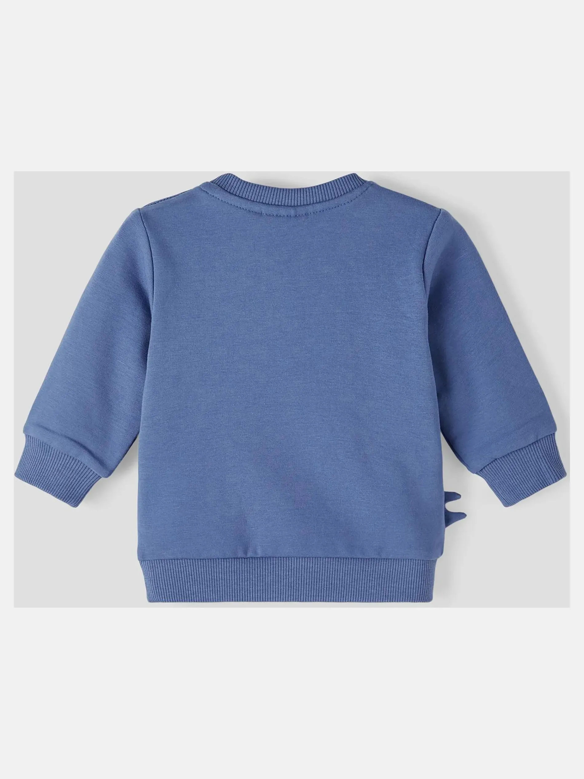 Jungen Sweatshirt mit Dinoprint