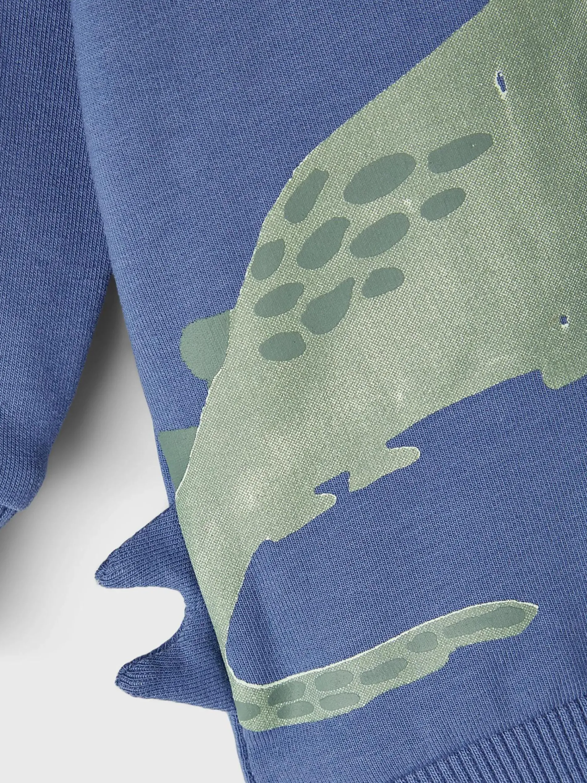 Jungen Sweatshirt mit Dinoprint