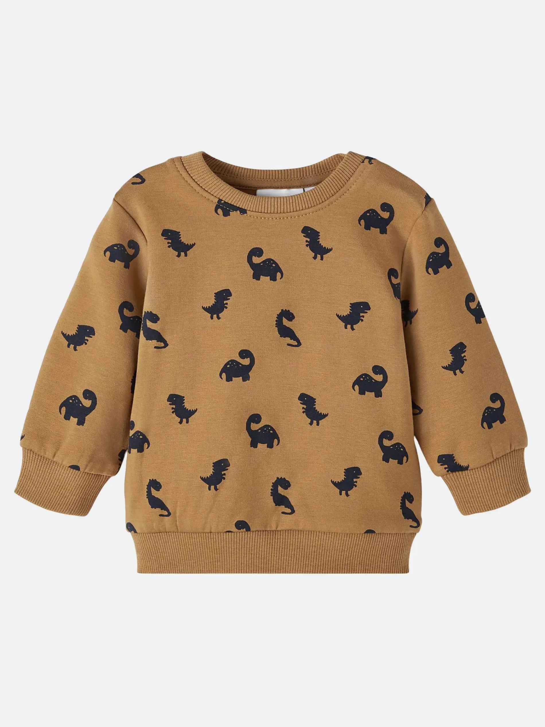 Jungen Sweatshirt mit Dinoprint