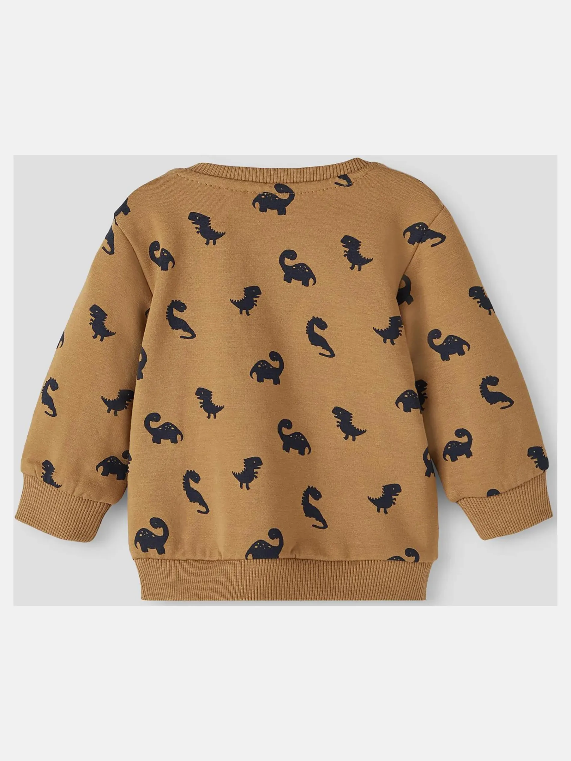 Jungen Sweatshirt mit Dinoprint