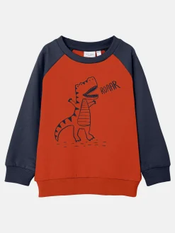 Jungen Sweatshirt mit Print