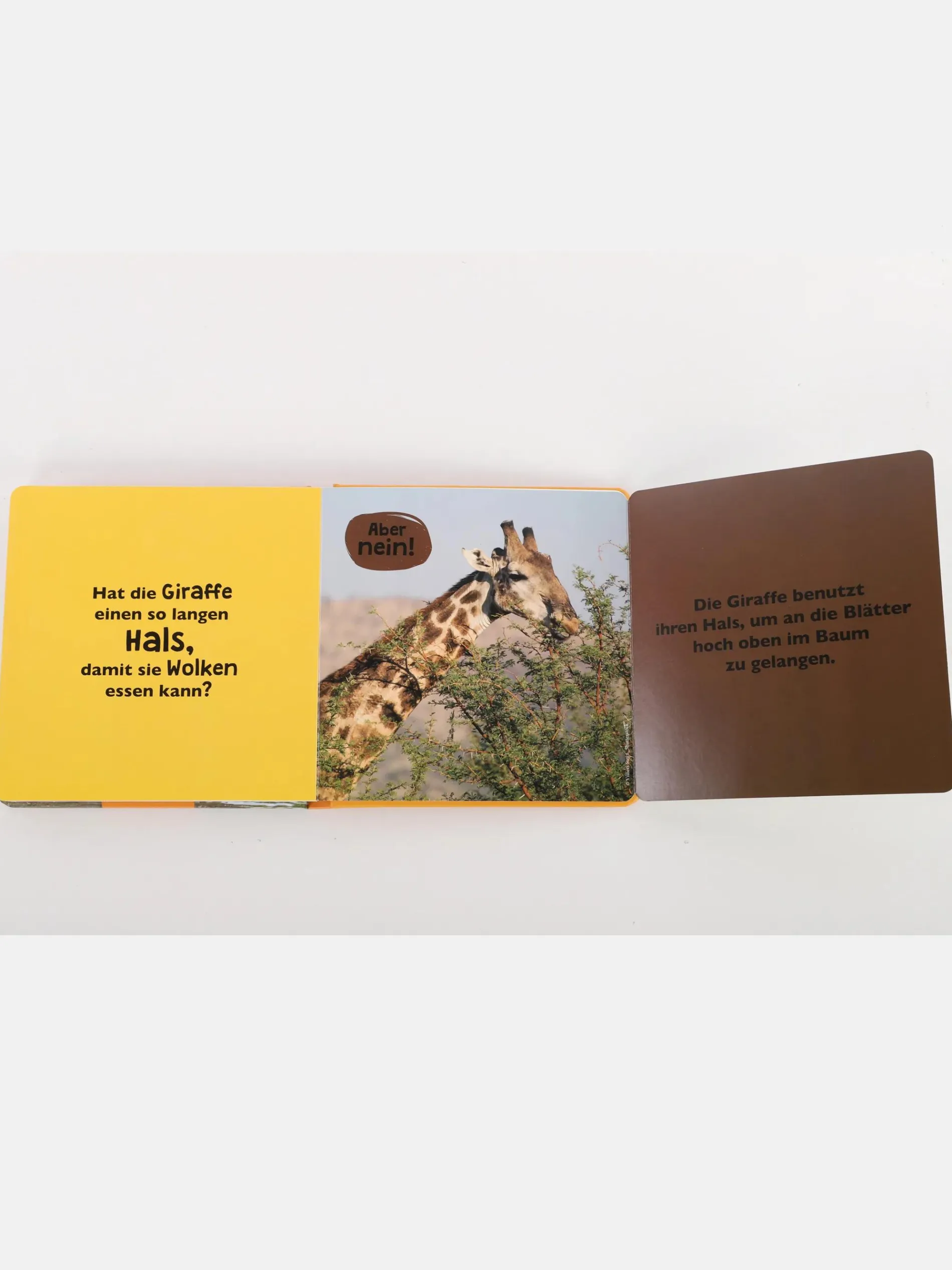 Kleinkinder Buch " Was meinst du"